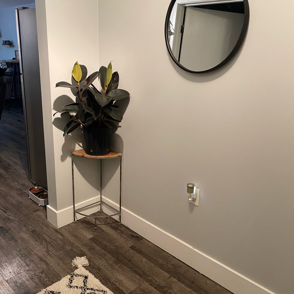 corner plant stand